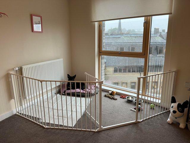 Second hand best sale baby gates sale