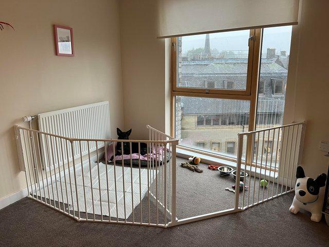 Preview of the first image of BabyDan XXL Room Divider/Safety Gate for sale.