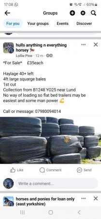 Image 2 of Haylage 4ft square large bales