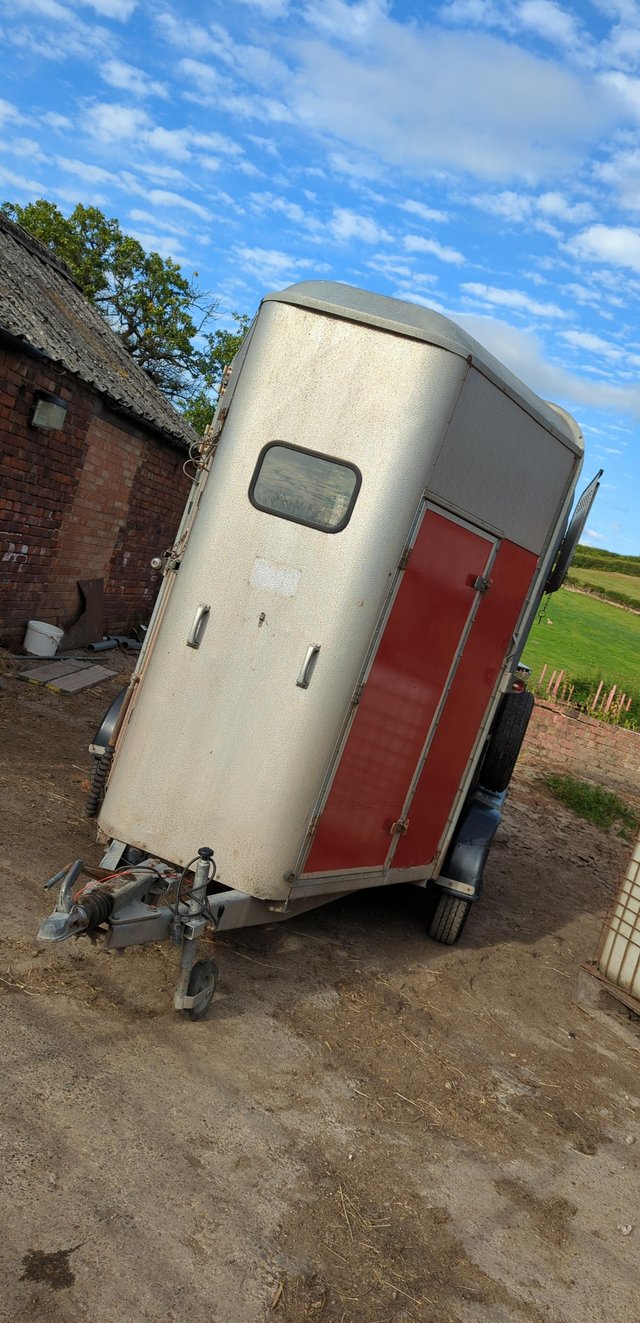 Preview of the first image of Ifor williams 505 horse trailer.