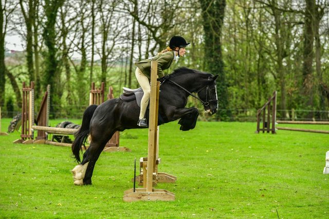 Image 3 of Super fun first pony for part loan