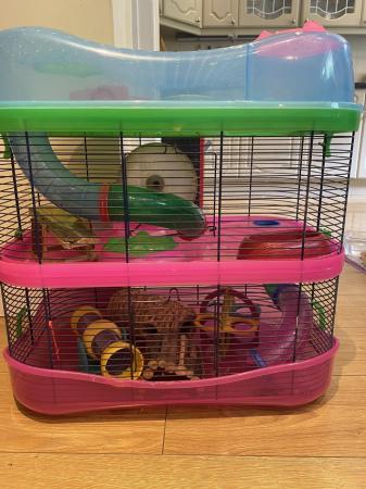 Image 7 of Deluxe three storey hamster cage