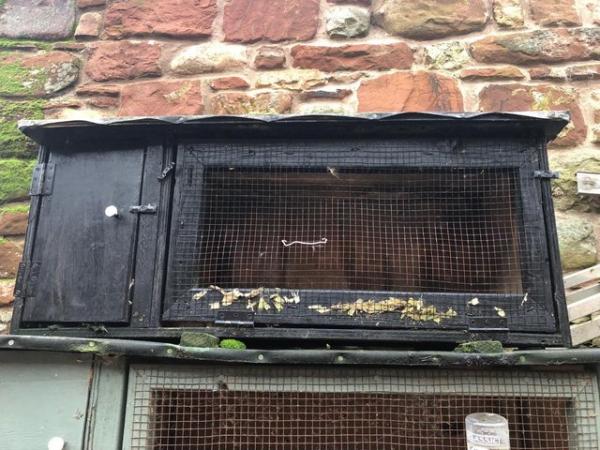 Image 3 of Joiner made ferret hutches with pole cat hob ferret £90