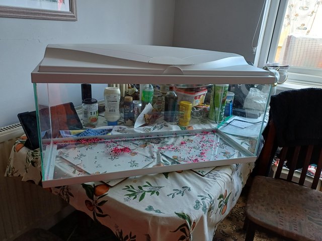 Fish tank and light and gravel — photo 3 of 4