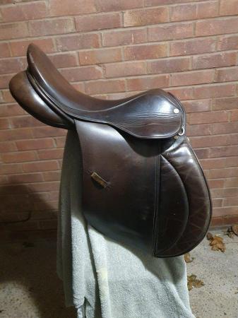 Image 2 of saddle, jump saddle, springtree, brown