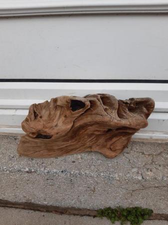 Image 2 of Bog wood /drift wood pieces from £2