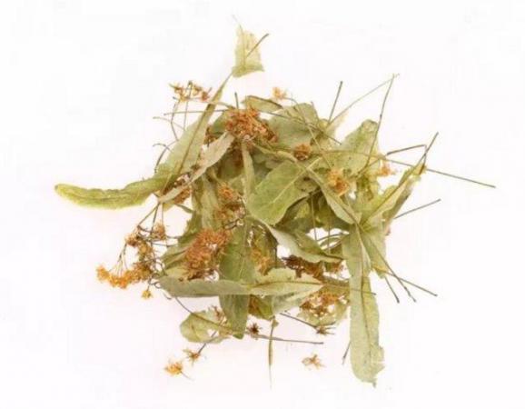 Image 1 of Wholesale of Linden Flowers from the manufacturer