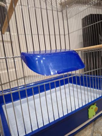 Image 5 of Small bird cage, good condition