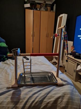 Image 1 of Bird play stand with toys, tray, bowls and ladder.