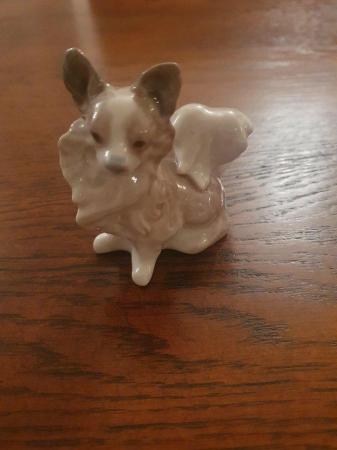 Image 1 of Lladro Papillon Dog in excellent condition