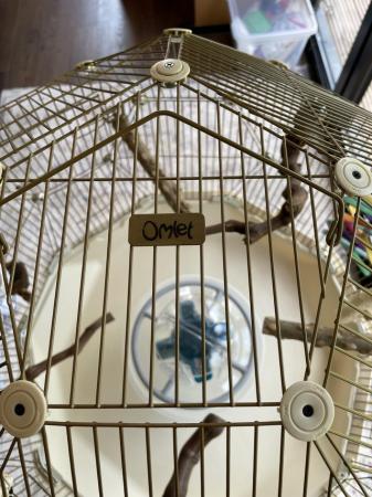 Image 4 of Omlet Geo Birdcage with stand