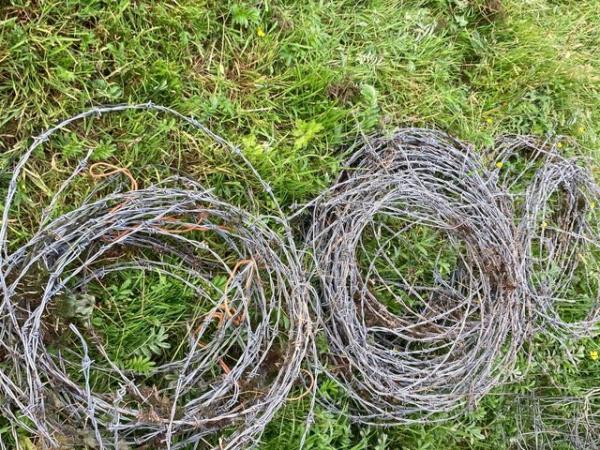 Image 3 of Stock fencing and barbed wire - FREE