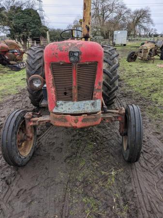 Image 3 of 1962 David brown 990 tractor