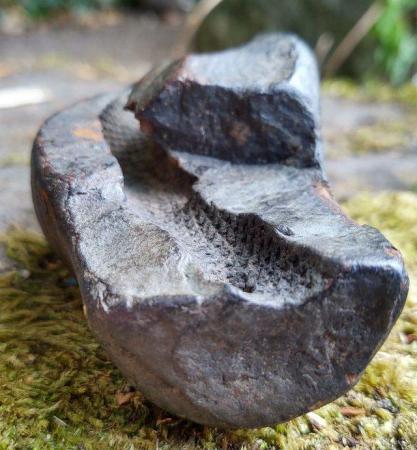 Image 1 of Unusual & Rare Snake Fossil Rock
