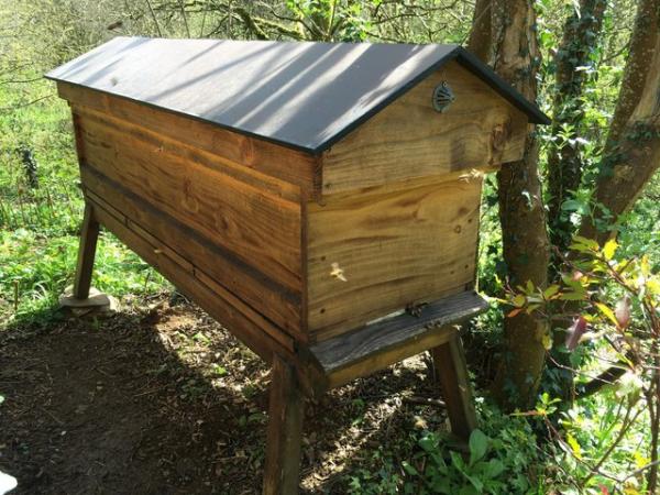 Image 1 of Bee Hive: 14x12 Hyde Hives Double Colony Long Hive + Bee nuc