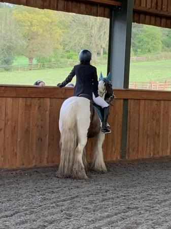 Image 2 of Lovely little riding cob mare 13hh