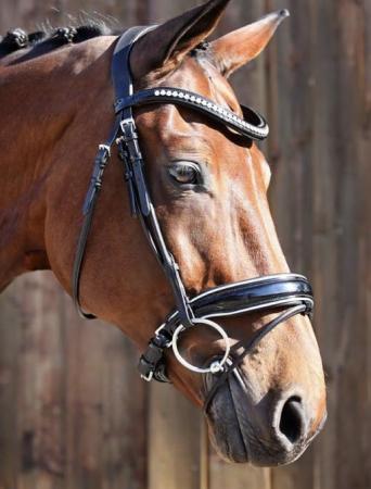 Image 2 of belle equestrian bridle