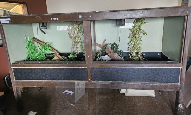 Preview of the first image of Vivarium Bespoke Custom Built Viv with divider use as1 or 2.