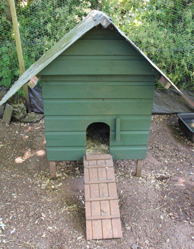 Preview of the first image of chicken/duck house for upto 6 birds.