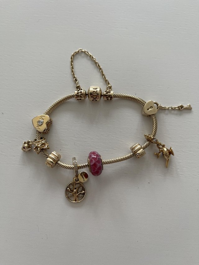 Preview of the first image of Pandora 14k bracelet & charms - cleaned.