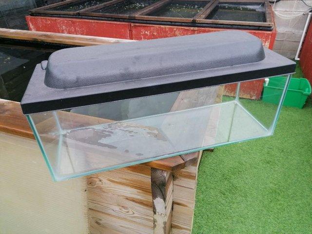 Preview of the first image of OBLONG FISH TANK WITH BLACK LID 24 X 8 X 9 30 LITRES.