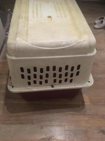 Image 5 of Very large dog crate/carrier Petmate