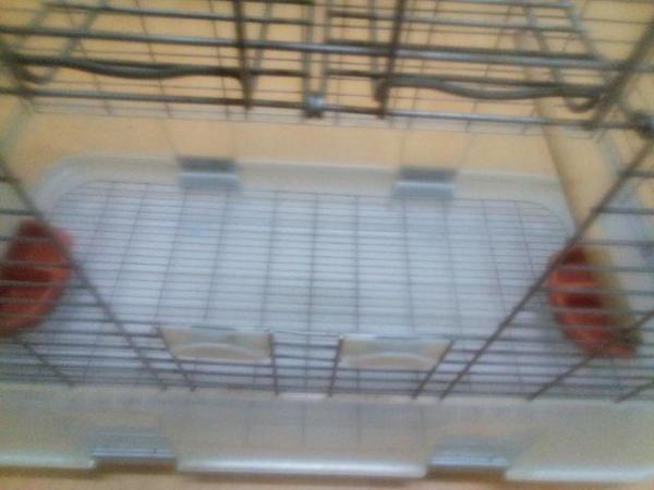 Image 5 of REDUCED Large Vision bird cage for sale