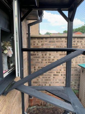 Image 3 of Cattery or Catio 180L x 100W x 235H cm.