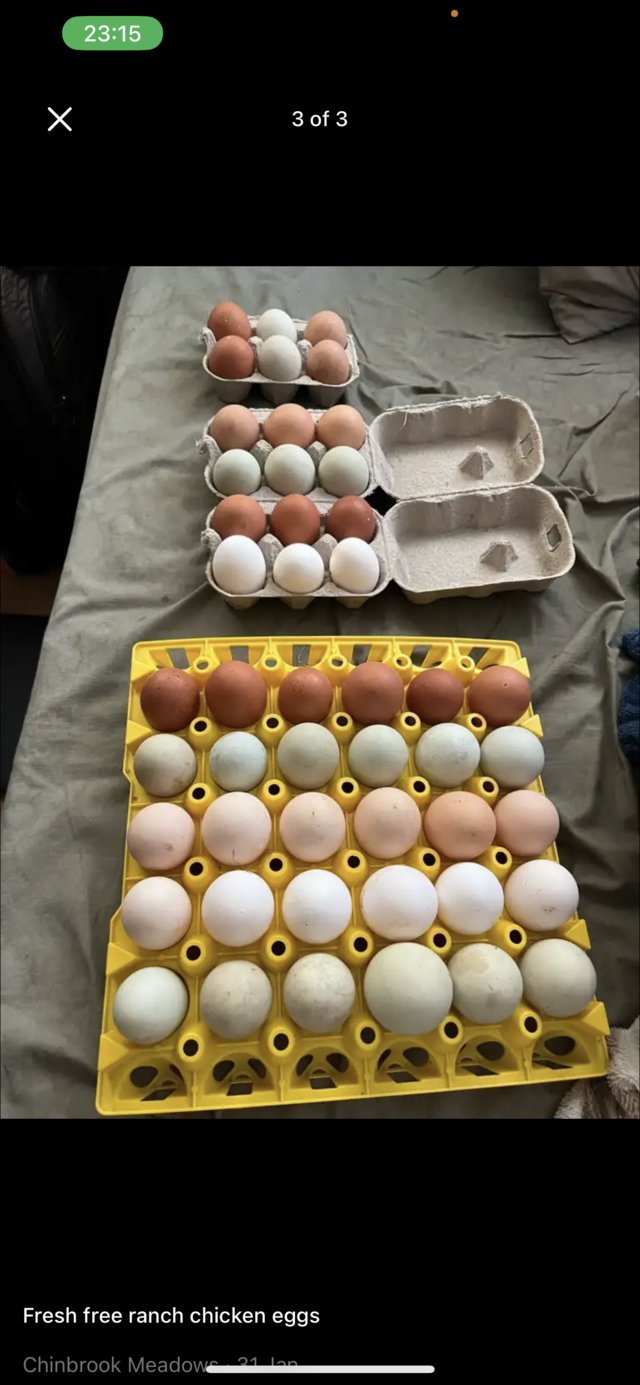 Preview of the first image of 30 eggs in a tray for eating for sale all fresh eggs.