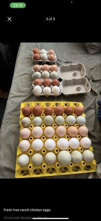 Image 1 of 30 eggs in a tray for eating for sale all fresh eggs