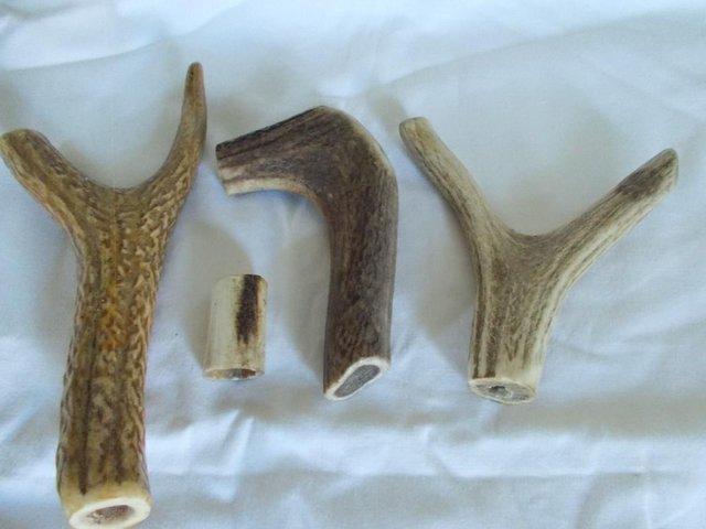 Preview of the first image of 3 Cumbrian Horn Walking cane stick handles as new.