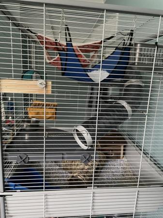 Image 2 of Massive rat/ferret cage really good quality