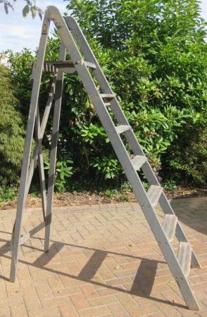 Image 2 of Stepladder with six rungs and platform
