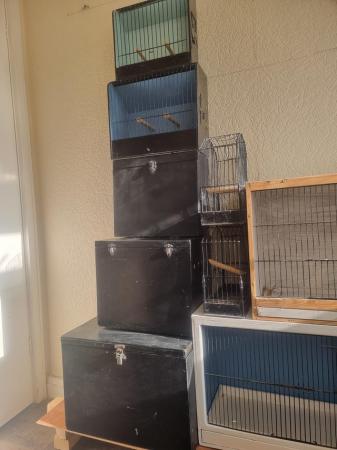 Image 10 of Birds cages for small birds ??  all good condition quick sal