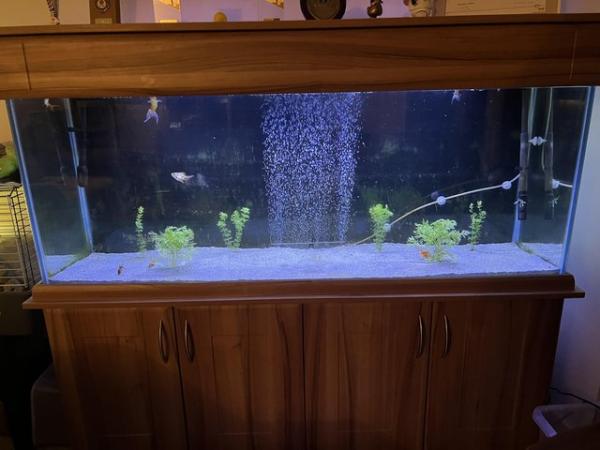 Image 1 of 5ft Fish Tank FULL SETUP! NEED GONE DUE TO HOUSE MOVE!