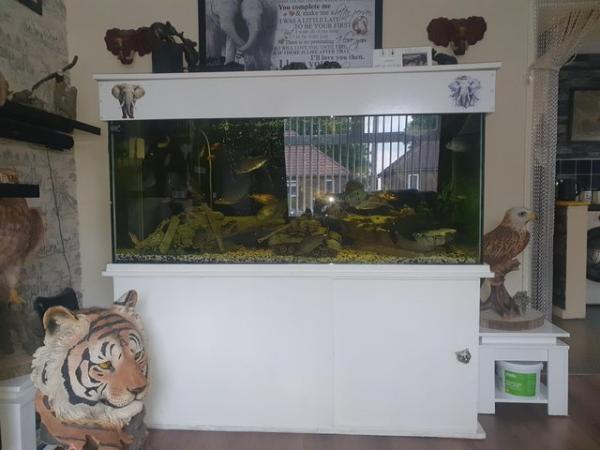 Image 5 of 5ft fish tank all included