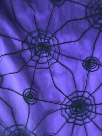 Image 2 of Purple Raven spiderweb long skirt
