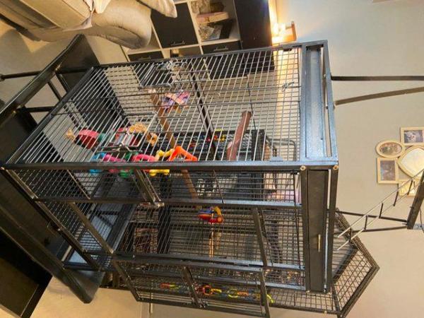 Image 3 of Stunning Parrot cage for sale