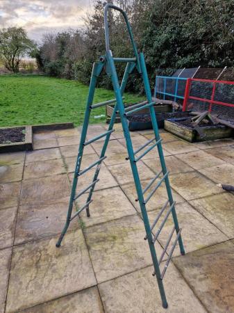 Image 1 of Heavy-duty metal garden ladders