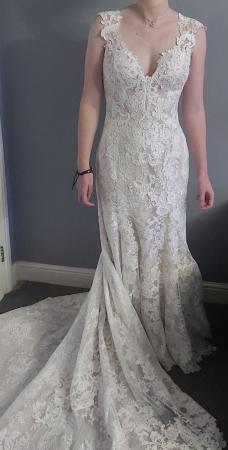 Image 3 of Wedding dress Maggie sottero size 8