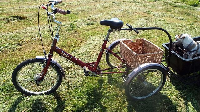 Image 2 of Pashley Tri Tricycle and Bike Trailer,Aduilt trike.