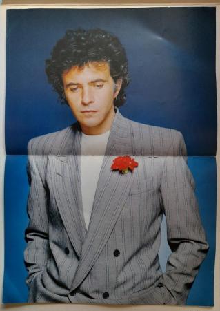Image 2 of David Essex 1982 concert tour programme + poster.