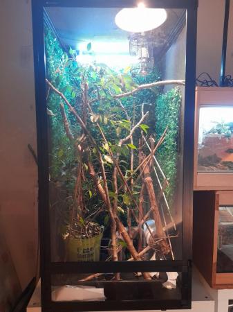 Image 5 of Brand new Aboreal vivarium for sale