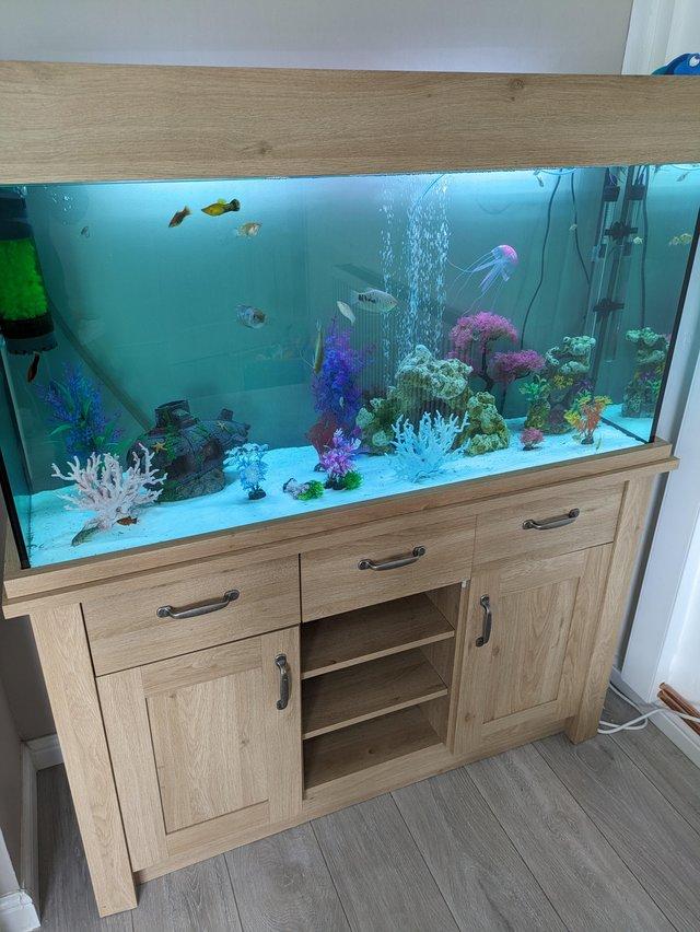 Preview of the first image of 5ft x 2ft Aquarium with Cabinet.