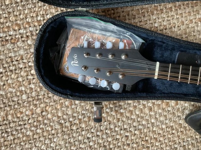 Preview of the first image of Pava professional mandolin.