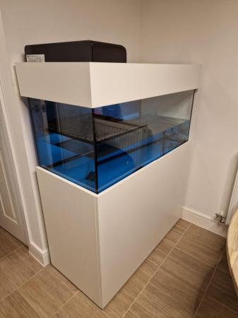 Image 8 of Terrapin/Fish Tank For Sale - Pick up Only