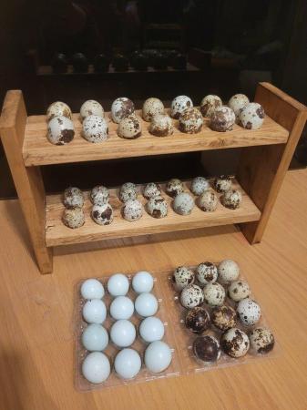 Image 2 of FERTILISED Quail Hatching Eggs