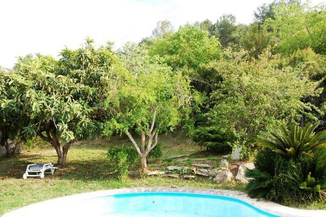 Image 4 of O'Hara Summer Cottage 2 bed mobile home Xativa Spain