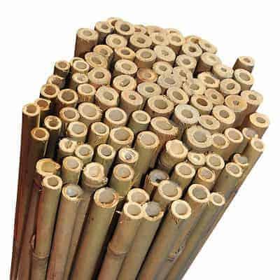 Preview of the first image of Bamboo Canes 8ft14mm -16mm (10for£8 )NEW.