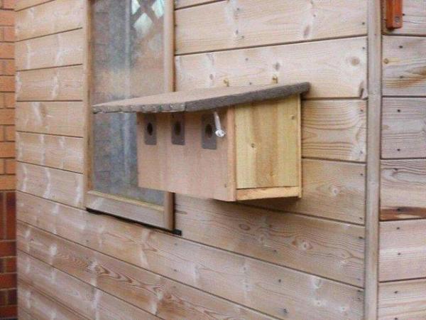 Image 3 of wild birds nesting boxes, solid wood